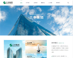 网站建设--大连三丰集团